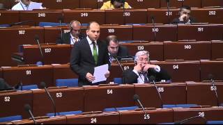 Giorgi Kandelaki's speech