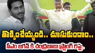 నువ్వెవడ్రా.. | Chandrababu STRONG REPLY to CM Jagan Over Not Given Buses For TDP Penugonda Meeting