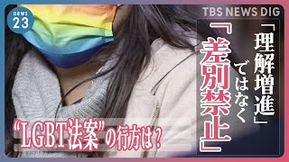 LGBT当事者の訴え「理解増進」ではなく「差別禁止」を　相次ぐ公人の差別発言“LGBT法案”の行方は？【news23】｜TBS NEWS DIG