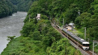 JR東海373系(F8編成)特急ワイドビュー伊那路4号豊橋行き　飯田線唐笠通過