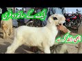 sheep mandi in dera ghazi khan || sheep farming business plan || Mundra goat farm 17 July 2024