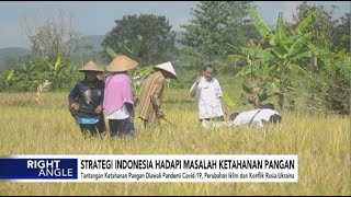 Strategi Indonesia Hadapi Masalah Ketahanan Pangan - Right Angle Kementan