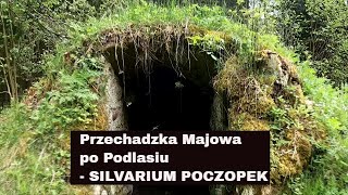 Przechadzka majowa po Podlasiu - Silvarium - park leśny w Poczopku