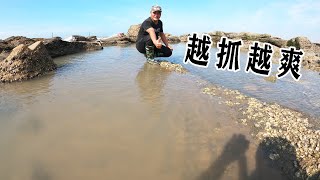 500平巨无霸坑海鲜爆满，500元一条的靓货令人兴奋，吴哥越抓越爽