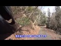 【林道散歩】山城町森林公園の舗装林道 160302