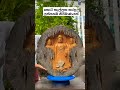 ලස්සනයි ද බලන්න 🙏🙏 #namobuddhay #namobuddha #buddha #dammam #sangam #buddhismo #viral #shorts #ytool