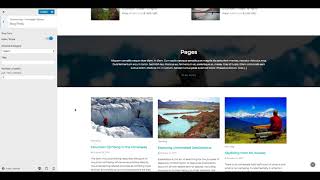 Travel \u0026 Tour WordPress Theme - Set up and Configuration | Travel and Tour Agency Website