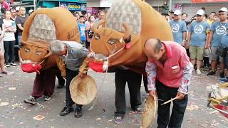 【泰山民俗技藝團-鬥牛陣】~108竹南郡威巡堂雷府千歲登殿遶境