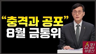 충격과 공포였던 8월 금통위 기자회견!