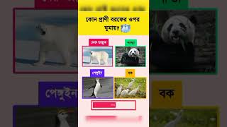 কোন প্রাণী বরফের উপর ঘুমায়