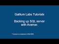 SQL Database backup and restore using Avamar