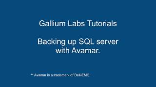 SQL Database backup and restore using Avamar