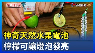 神奇天然水果電池 檸檬可讓燈泡發亮【發現科學】