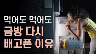 이 원리를 알아야 다이어트나 식단조절 가능