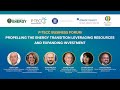 Propelling the energy transition: Leveraging resources and expanding investment