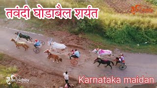 💥तवंदी घोडाबैल शर्यत tavandi ghodabail maidan #sharyat #bailgadisharyat  #bullrace #bailgadasharyat