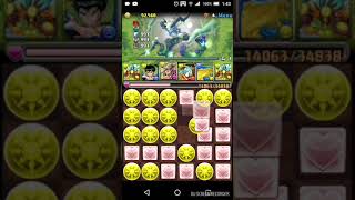 【パズドラ】ビュート配布してもらいました