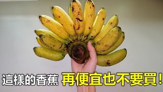 這樣的香蕉，再便宜也不要買！趕緊給家里人看看！