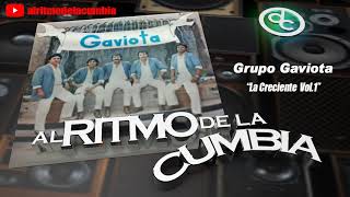 Grupo Gaviota - La creciente Vol. 1