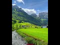 BeautifulNature in Switzerland/Nature video/Village House/relaxing Music #nature#relaxing #short