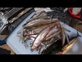 smelt fishing from piers