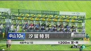 2021年09月11日 中山競馬10レース 汐留特別 スティクス