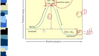 Ch. 19.1: Reaction Rates