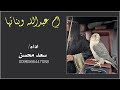 شيلة ام عبدالله وبناتها سعد محسن حصرياً 2025