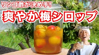 【梅仕事】リンゴ酢とはちみつでさっぱり梅シロップの作り方。暑い夏にピッタリです！