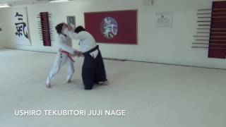 USHIRO TEKUBITORI JUJI NAGE