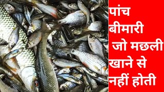 मछली खाने के फायदे || कई बीमारियों से मिलेगा छुटकारा || Sundar bihar