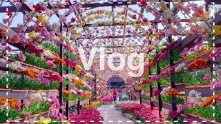 【Vlog】由志園のチューリップ！日本庭園には滝もあるよ