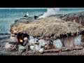 STONE HUT on a Rainy Island: 3 Day Survival Camping