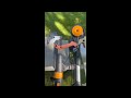 fiskars 14 and 16 tree pruner comparison