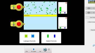 Diffusion simulation 1