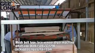 mesh belt type veneer dryer machine