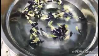 Honey 蓝花 蝶豆花 处理 方式