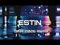 Estin - Sina (Remix 2026)
