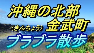 【沖縄B級グルメ】【沖縄ぶら散歩】okinawa/沖縄県・金武（きん）町ぶら散歩・タコライスの街・エイサー・湧き水・沖縄グルメ・CAMP　HANSEN・沖繩假期・沖繩美食・沖縄観光・