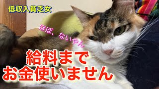 【猫と貧乏女】給料日まで、あと２日。お金は使いません、買い物にも行きません。耐えます。