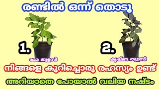 നിങ്ങളെ കുറിച്ചൊരു രഹസ്യം ഉണ്ട് അറിയാതെ പോയാൽ വലിയ നഷ്ടം. Thodukuri.