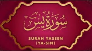 Islamic Videos | surah yaseen | ,surah yaseen ki tilawat,quran,