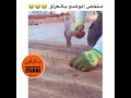 ملخص الوضع بالعراق هههههه غير احنه ما نحجي