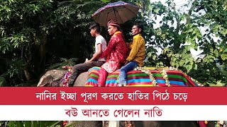 নানির ইচ্ছা পূরণে হাতির পিঠে চড়ে বউ আনতে গেলেন সালমান শাহ I Elephant Wedding I Daily Bangladesh