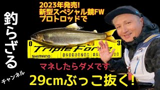 【デカ鮎2021】2023年発売のスペシャル競FWプロトロッドで29cmのデカ鮎をぶっこ抜く!