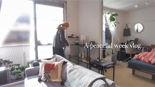 【peaceful week vlog】のんびり始める休日の朝☕️weekend morning / 香りを楽しむ日常 / 観葉植物のある暮らし🪴/ ホットチョコレート🍫hot chocolate