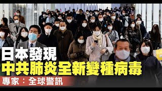 日本發現中共肺炎全新變種病毒 專家：全球警訊