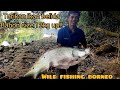 wild fishing borneo||strike ikan besar di sungai pedalaman kalimantan