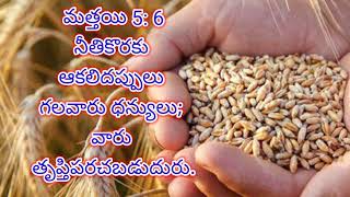 నీతి కొరకు ఆకలిదప్పులు గలవారు ధన్యులు..|| Telugu Bible short messages