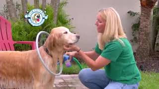 Dog Wash Spray within a Hoop (Woof Washer 360)- Go Pets Zone